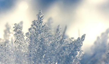 Matériel de Froid Commercial et Industriel pour la Restauration